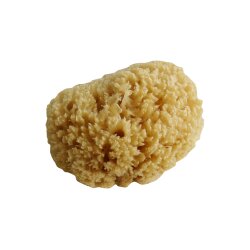 MP Naturschwamm 12-18 cm